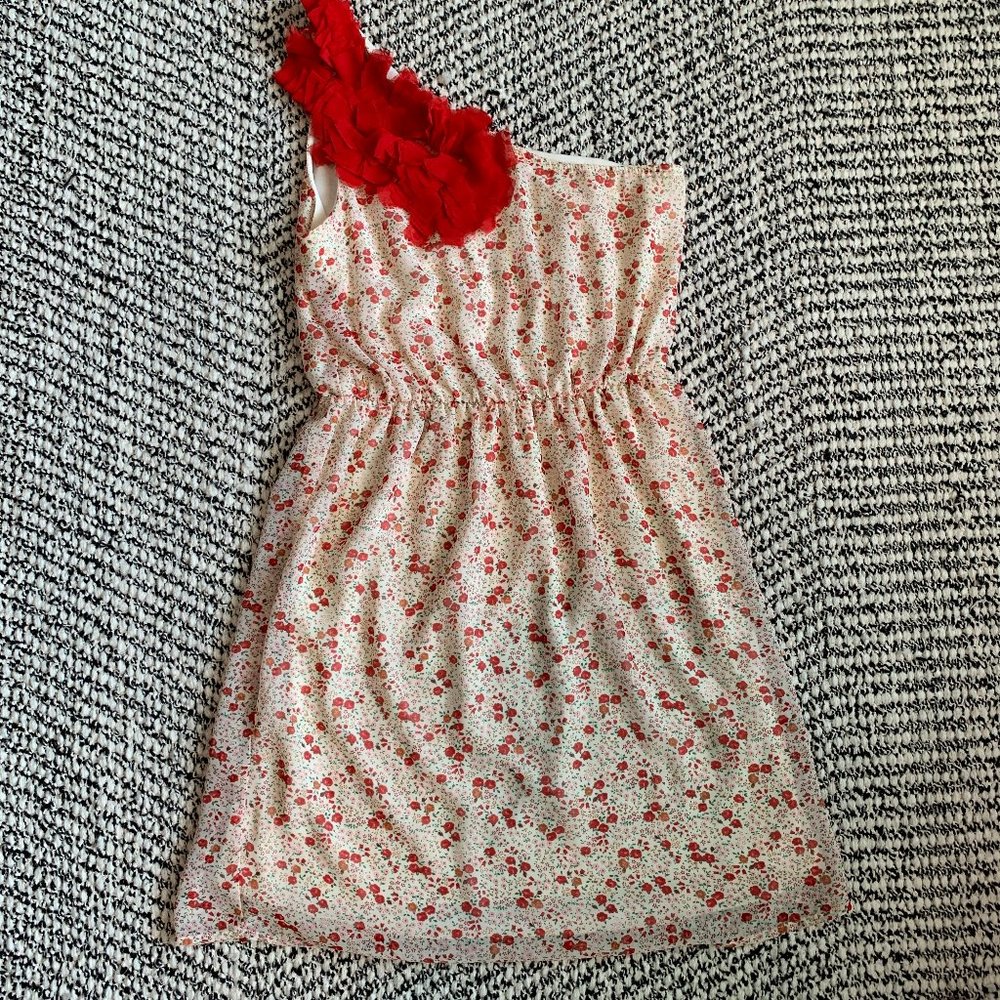 Everly Floral Dress (Size S)